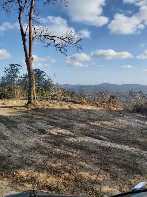 Terreno (Residencial) en Venta en Alto Hatillo, Distrito Metropolitano - 22
