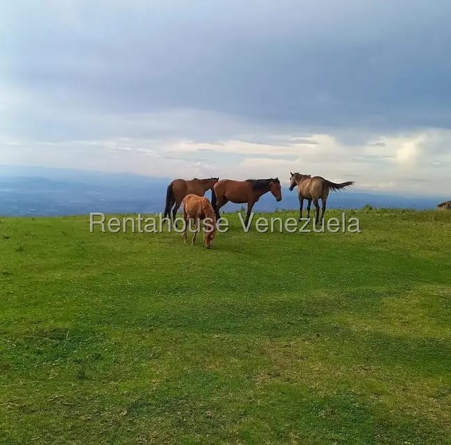 Terreno (Finca) en Venta en Jimenez, Lara