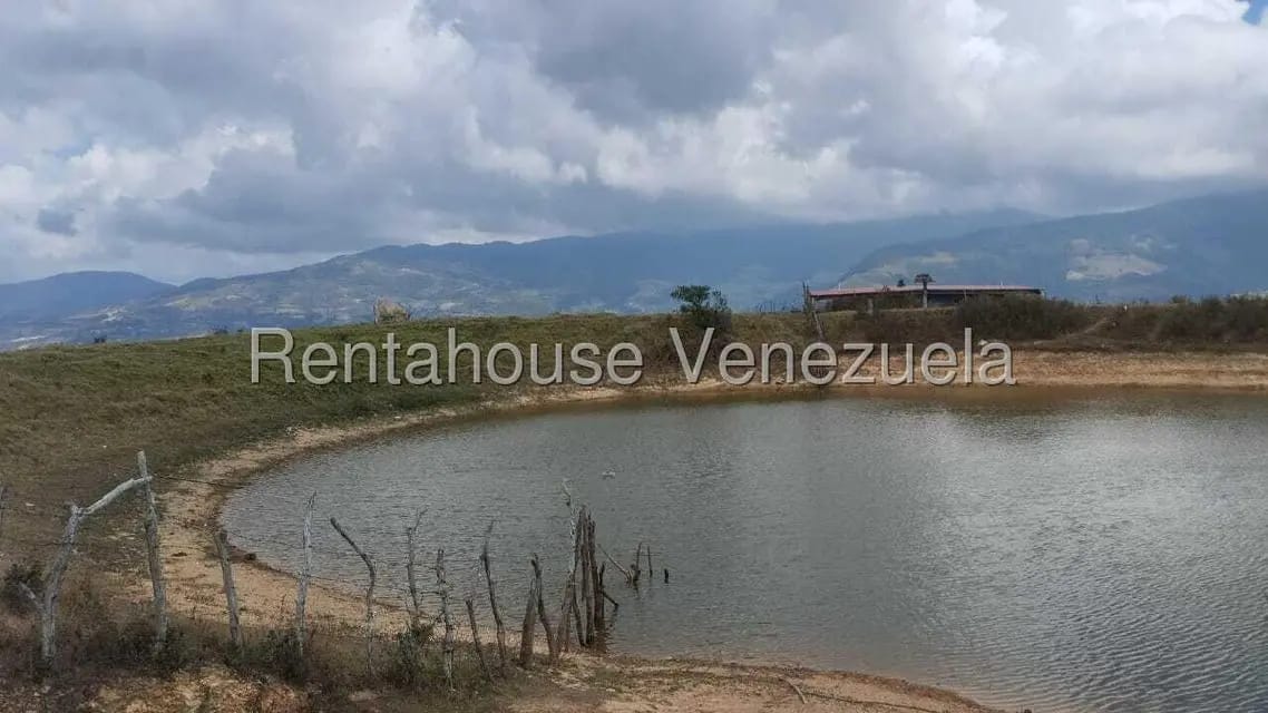 Terreno (Finca) en Venta en Jimenez, Lara - 11