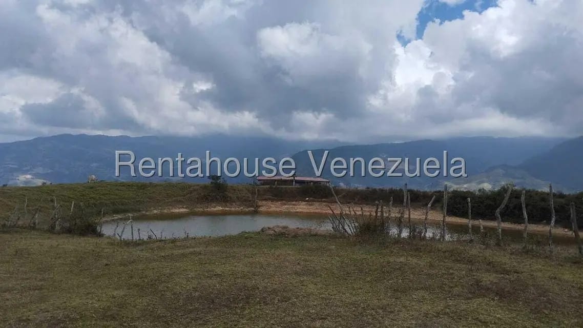 Terreno (Finca) en Venta en Jimenez, Lara - 12