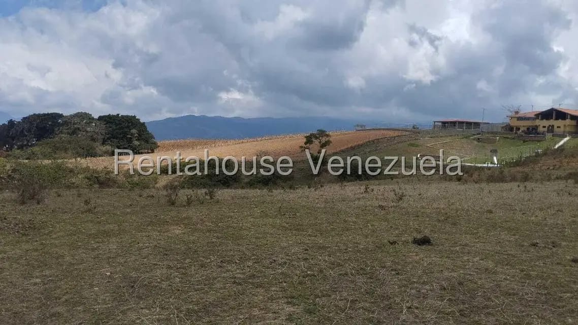 Terreno (Finca) en Venta en Jimenez, Lara - 4