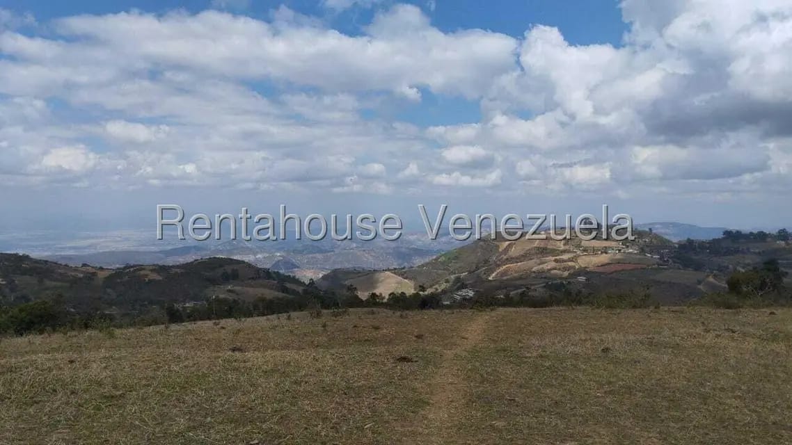 Terreno (Finca) en Venta en Jimenez, Lara - 5