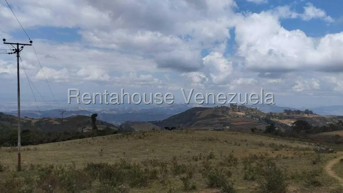 Terreno (Finca) en Venta en Jimenez, Lara - 6