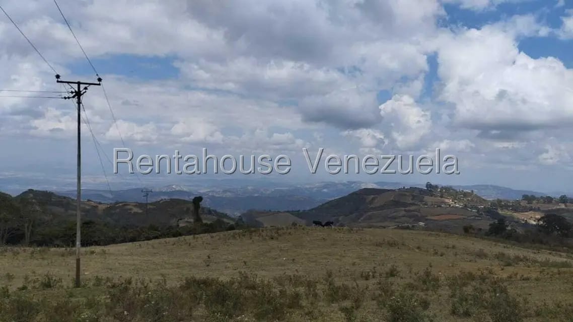 Terreno (Finca) en Venta en Jimenez, Lara - 8