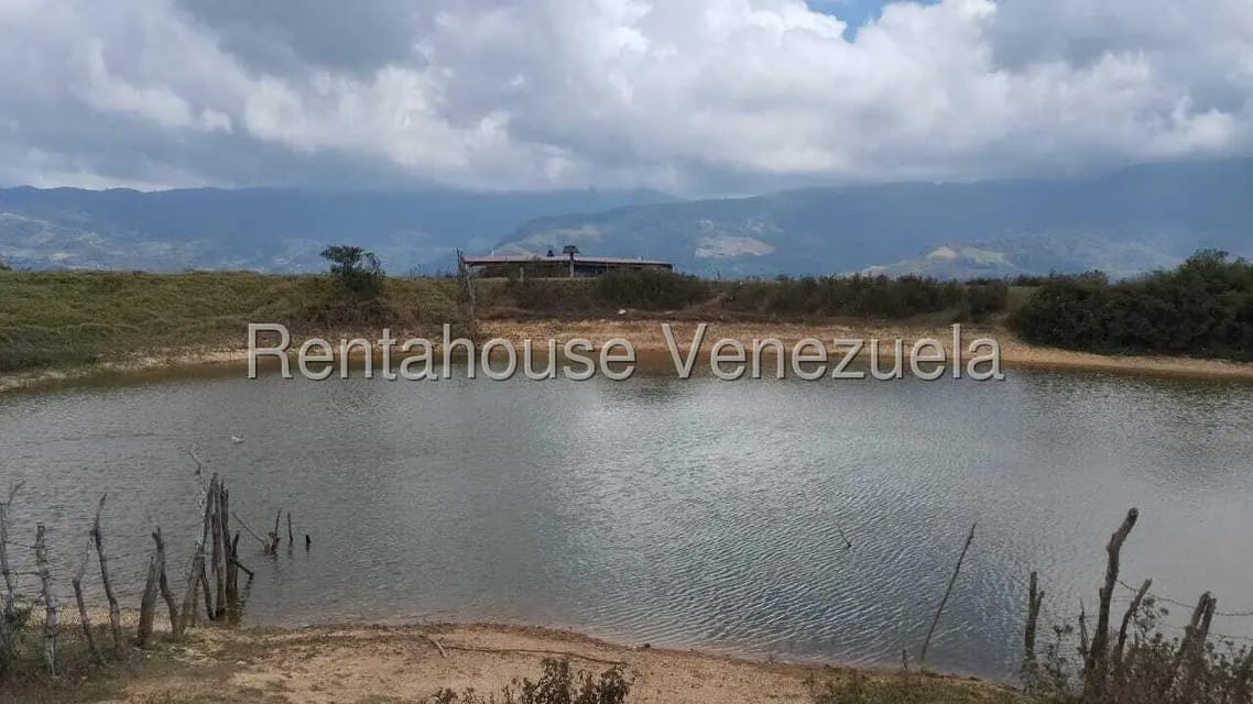 Terreno (Finca) en Venta en Jimenez, Lara - 9