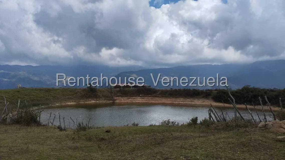 Terreno (Finca) en Venta en Jimenez, Lara - 10