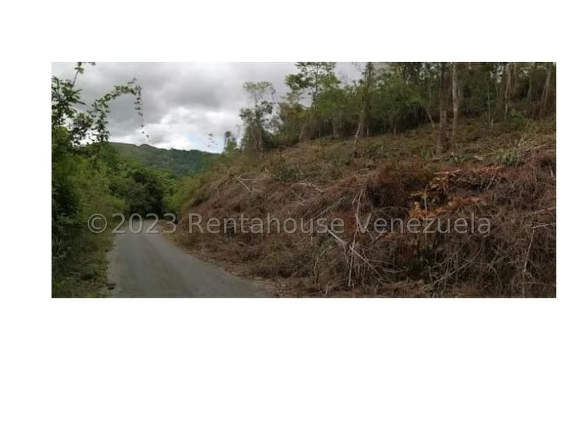 Terreno (Residencial) en Venta en Barutaima, Miranda