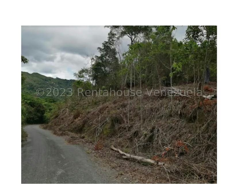 Terreno (Residencial) en Venta en Barutaima, Miranda - 11