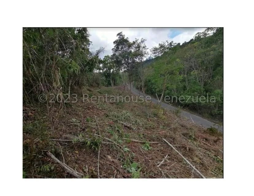 Terreno (Residencial) en Venta en Barutaima, Miranda - 7