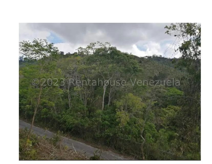 Terreno (Residencial) en Venta en Barutaima, Miranda - 8