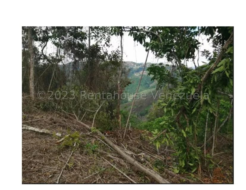 Terreno (Residencial) en Venta en Barutaima, Miranda - 9