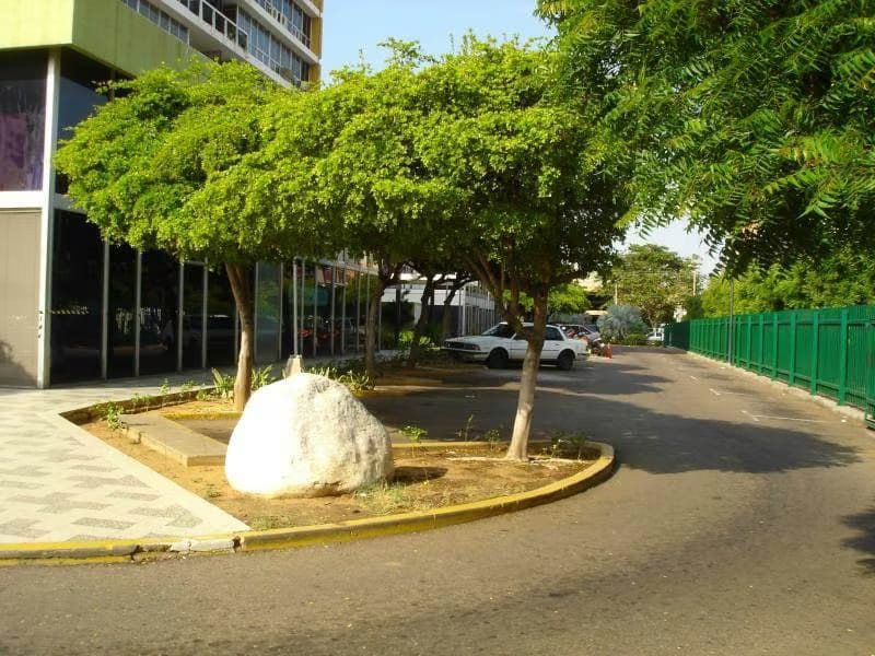 Comercial (Oficina) en Alquiler en Avenida Bella Vista, Zulia - 14