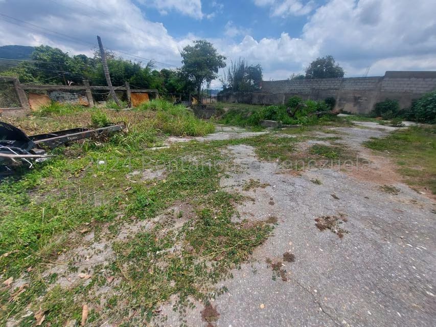 Terreno (Comercial) en Alquiler en El Placer, Distrito Metropolitano - 11