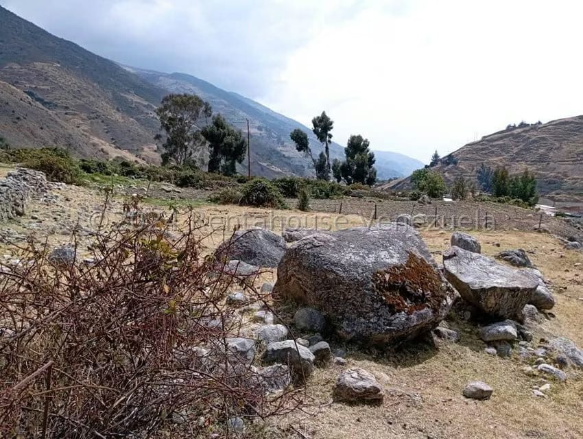 Terreno (Finca) en Venta en La Toma, Merida - 18
