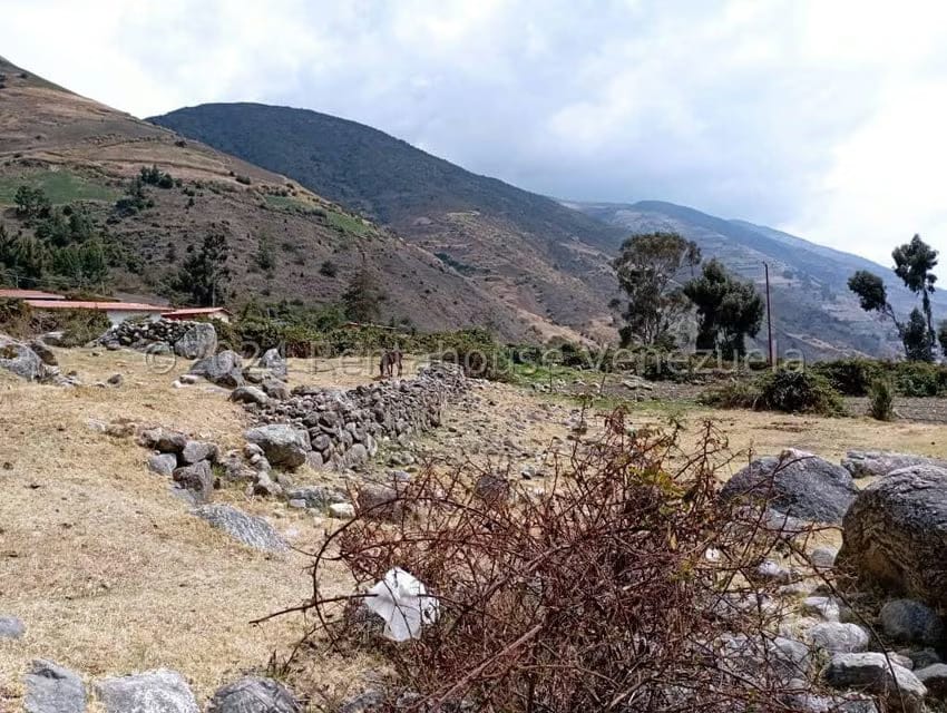 Terreno (Finca) en Venta en La Toma, Merida - 4