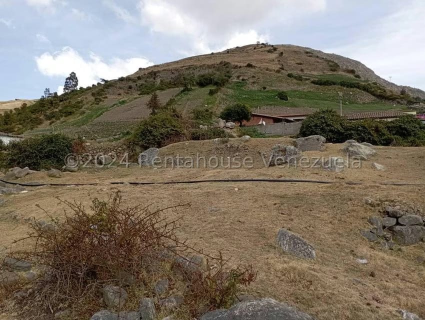 Terreno (Finca) en Venta en La Toma, Merida - 7