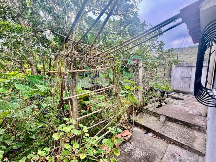 Casa (1 Nivel) en Venta en Zorca, Tachira - 15