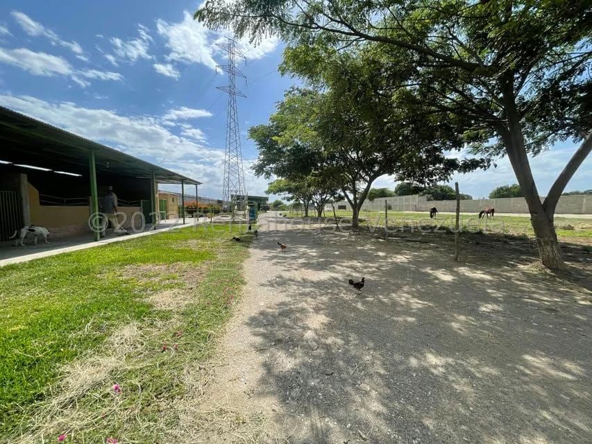 Terreno (Comercial) en Venta en Municipio Jimenez, Lara - 12