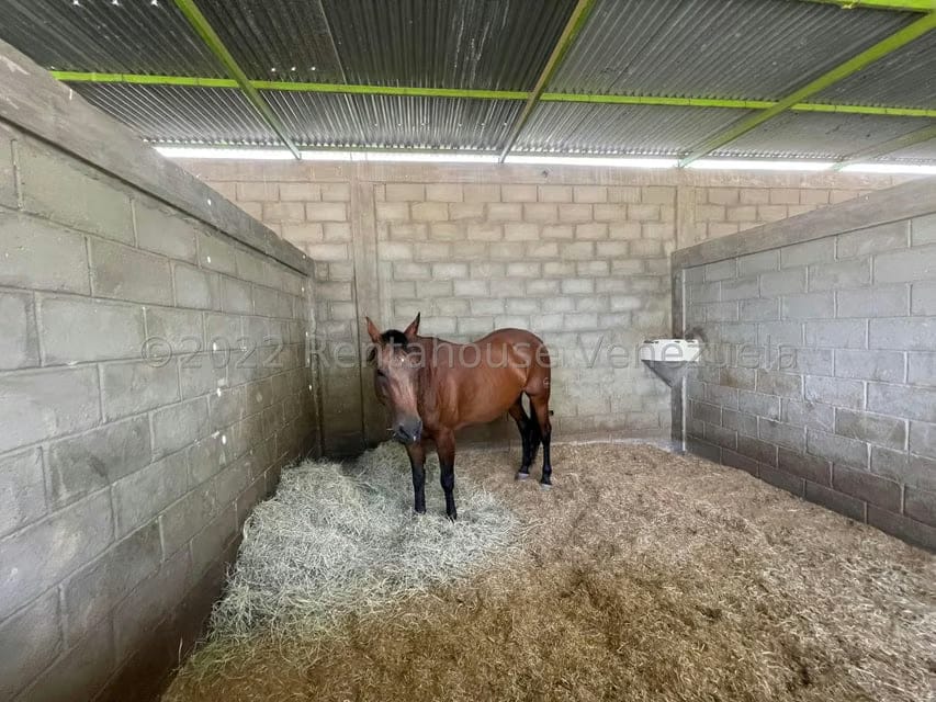 Terreno (Comercial) en Venta en Municipio Jimenez, Lara - 13