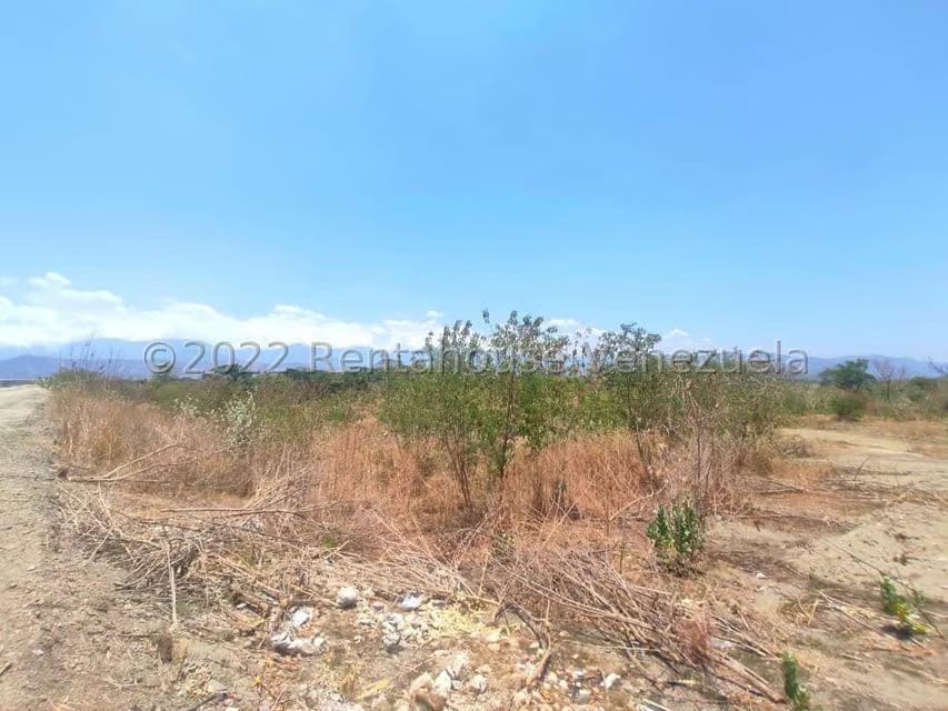 Terreno (Industrial) en Venta en La Julia, Aragua - 13