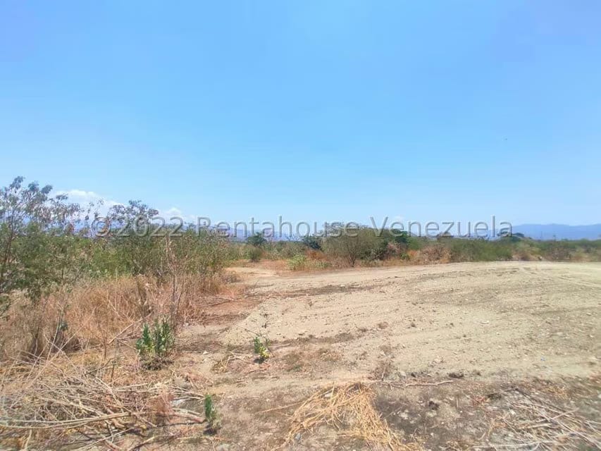 Terreno (Industrial) en Venta en La Julia, Aragua - 14
