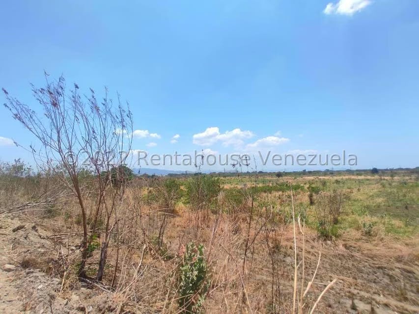 Terreno (Industrial) en Venta en La Julia, Aragua - 7