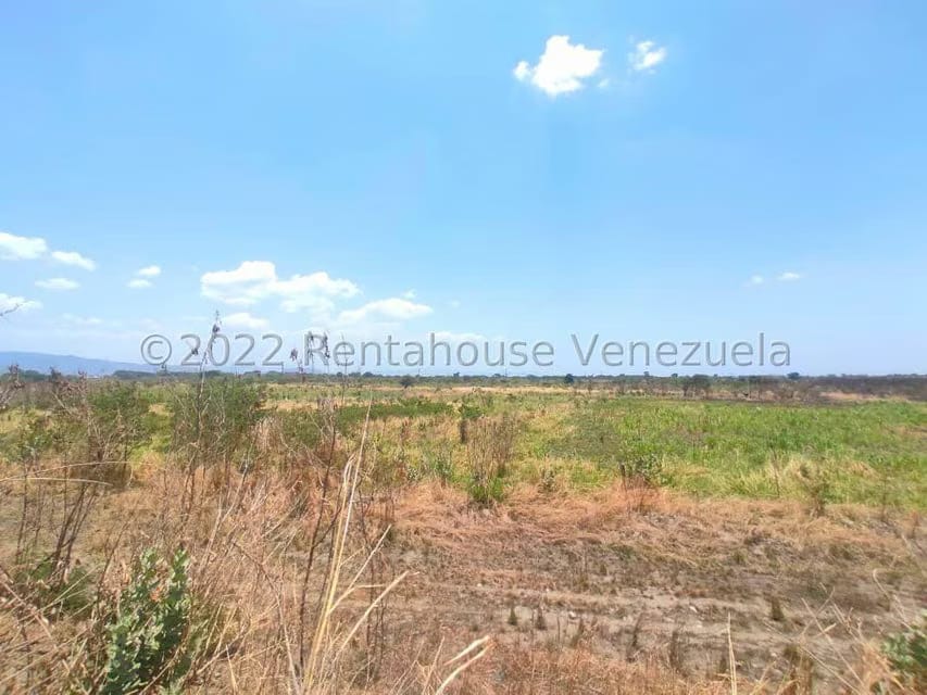 Terreno (Industrial) en Venta en La Julia, Aragua - 10