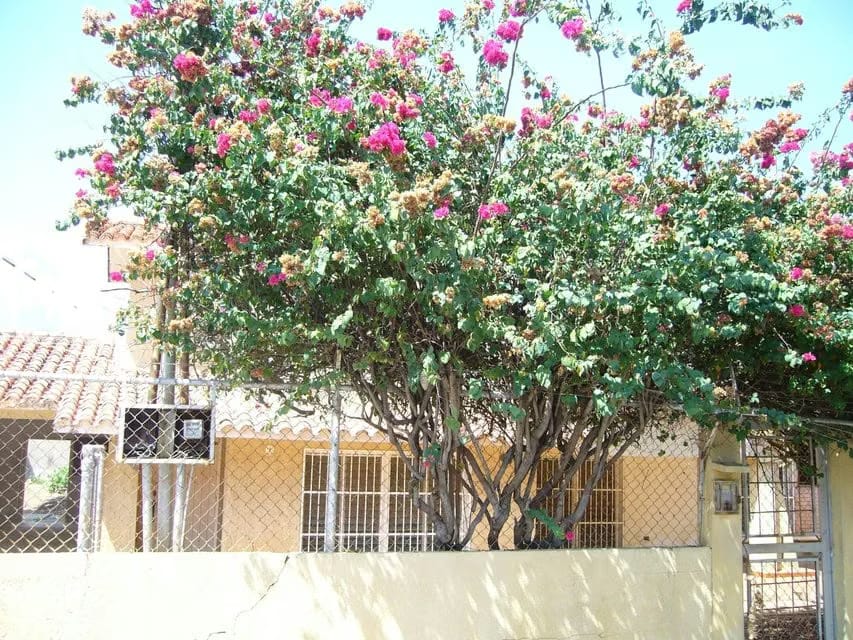 Terreno (Comercial) en Venta en Virginia, Zulia - 7