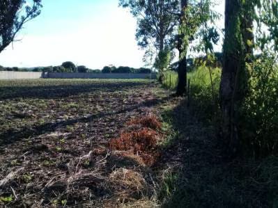 Venta de Terreno - 4