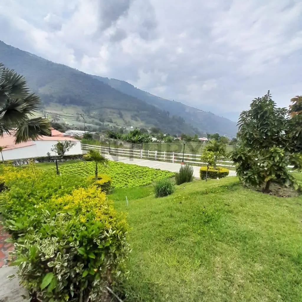 En venta casa de campo Venegara La Grita - 3