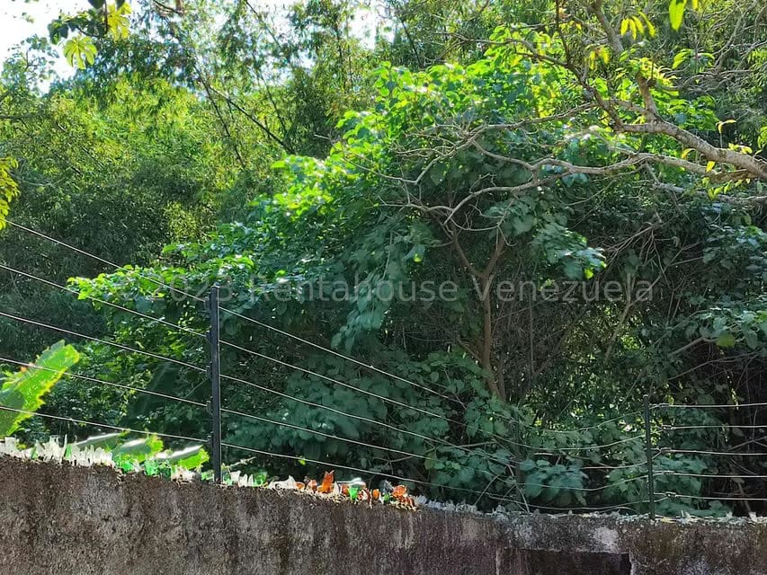 Anexo (1 Nivel) en Alquiler en La Entrada, Carabobo - 32