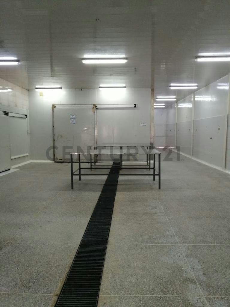 Galpones en venta Cumana Estado Sucre a puerta de avenida rotaria - 39
