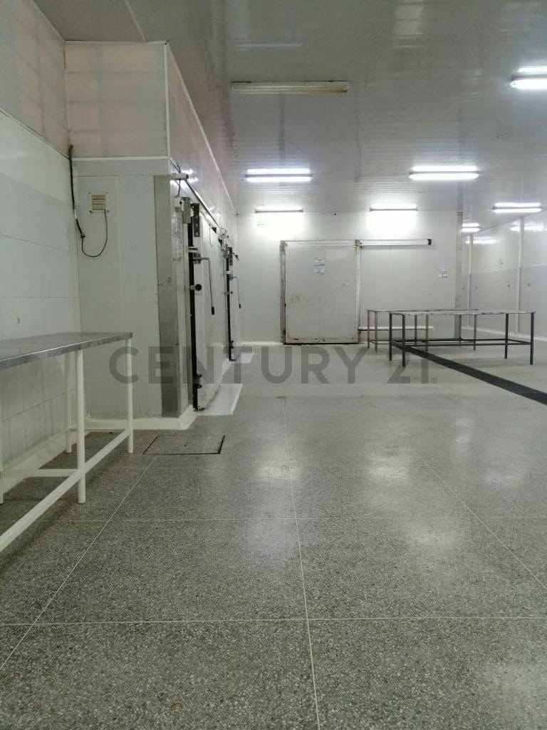 Galpones en venta Cumana Estado Sucre a puerta de avenida rotaria - 50