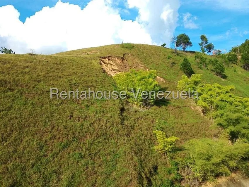 Apartamento (1 Nivel) en Alquiler en Colinas de La Tahona, Distrito Metropolitano - 14