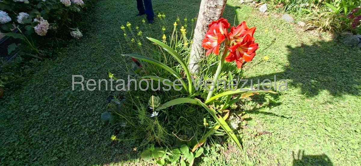 Casa (Multipes Niveles) en Venta en El Valle, Merida - 38