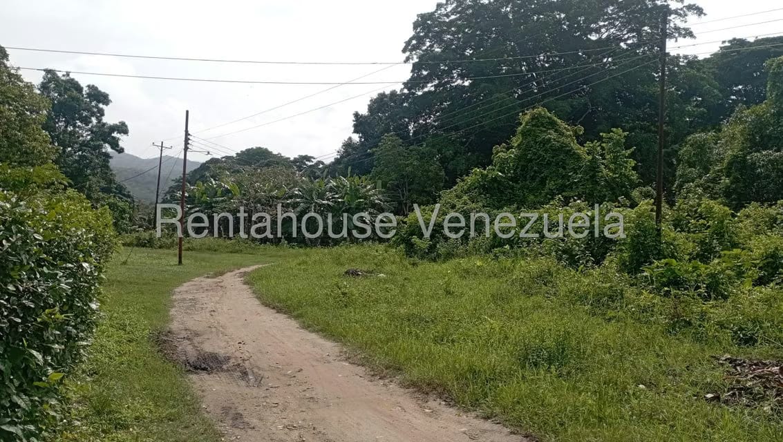 Terreno (Finca) en Venta en Bruzual, Yaracuy