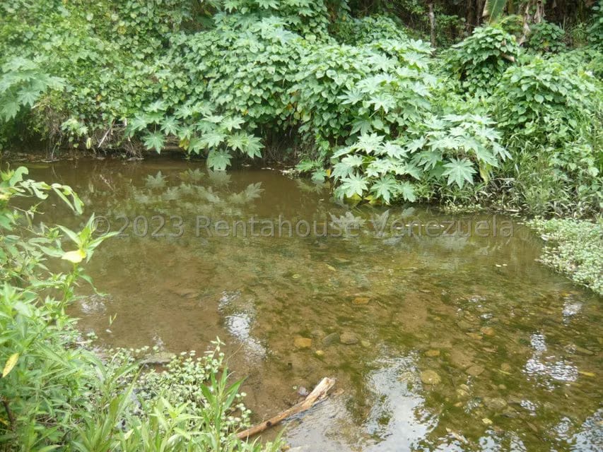Terreno (Finca) en Venta en Bruzual, Yaracuy - 12