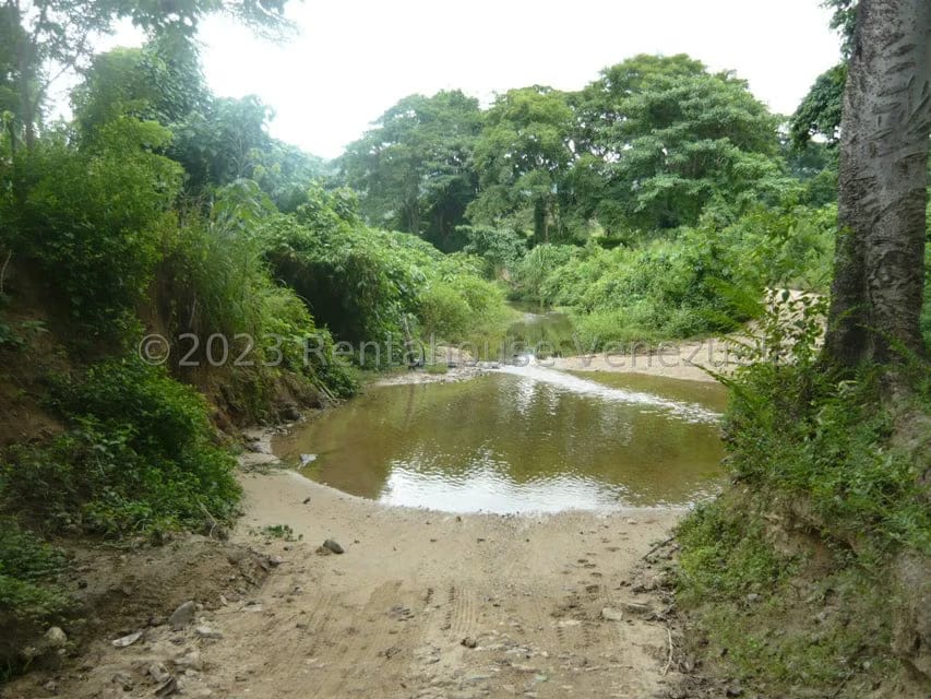 Terreno (Finca) en Venta en Bruzual, Yaracuy - 14