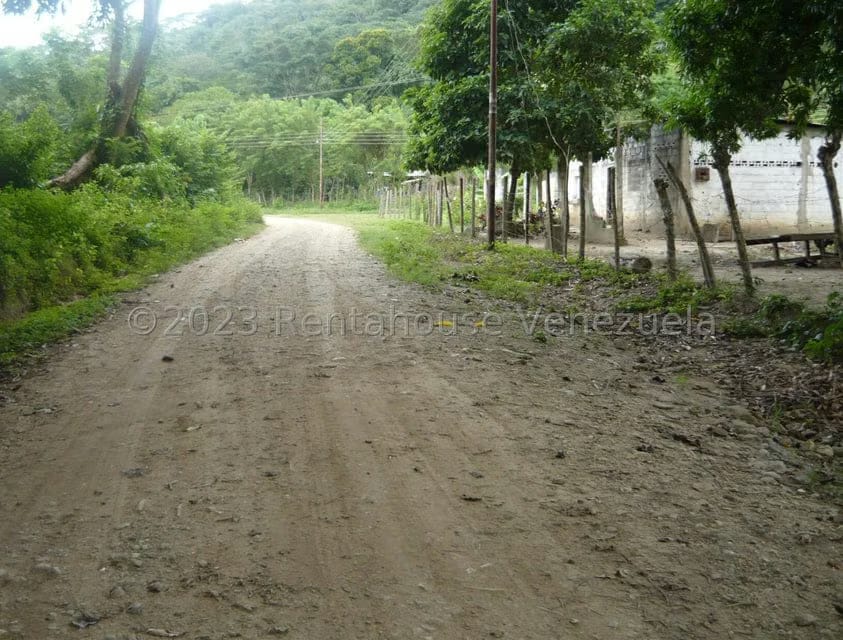 Terreno (Finca) en Venta en Bruzual, Yaracuy - 15