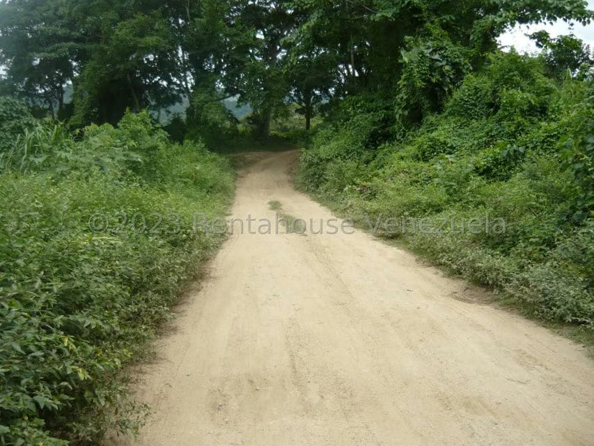 Terreno (Finca) en Venta en Bruzual, Yaracuy - 17