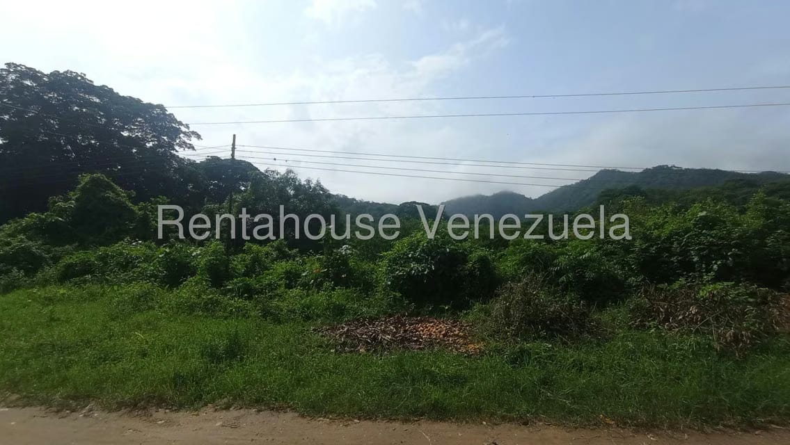 Terreno (Finca) en Venta en Bruzual, Yaracuy - 5