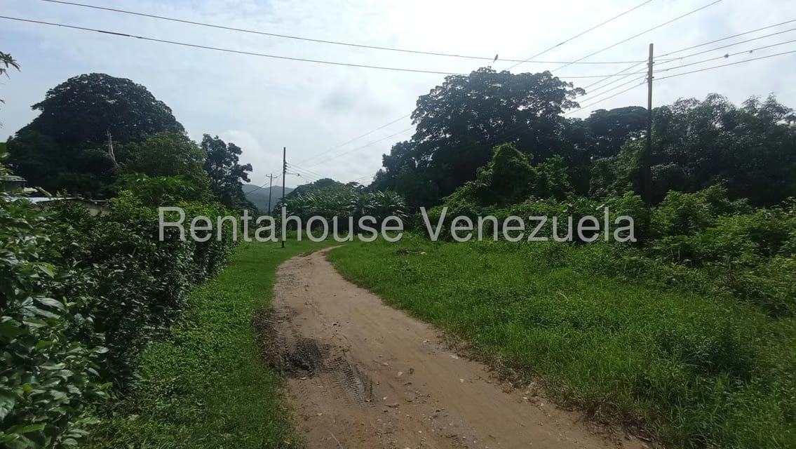 Terreno (Finca) en Venta en Bruzual, Yaracuy - 6
