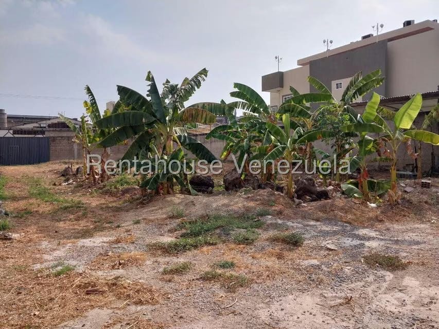 Terreno (Residencial) en Venta en Tiuna, Aragua - 9