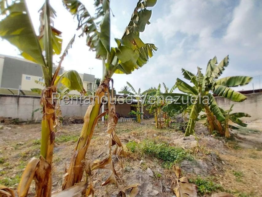 Terreno (Residencial) en Venta en Tiuna, Aragua - 10