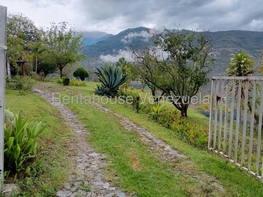 Terreno (Finca) en Venta en Loma Santuario de Duri, Trujillo