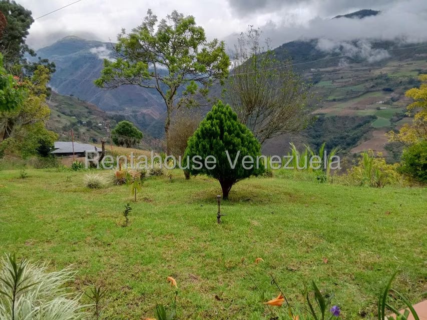 Terreno (Finca) en Venta en Loma Santuario de Duri, Trujillo - 2