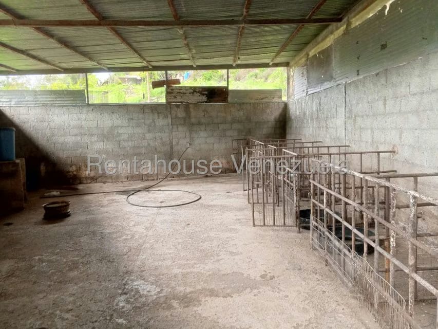 Terreno (Finca) en Venta en Loma Santuario de Duri, Trujillo - 11
