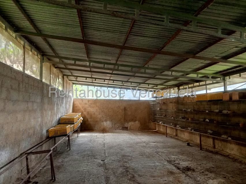 Terreno (Finca) en Venta en Loma Santuario de Duri, Trujillo - 12