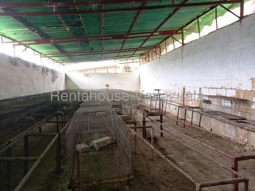 Terreno (Finca) en Venta en Loma Santuario de Duri, Trujillo - 13