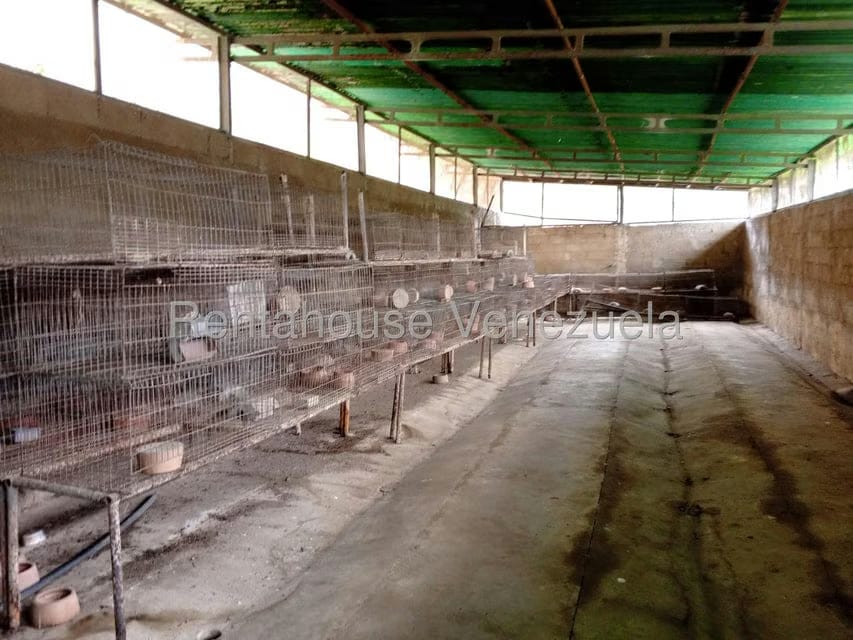 Terreno (Finca) en Venta en Loma Santuario de Duri, Trujillo - 14